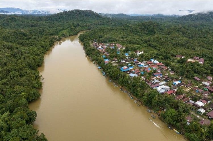 Lanskap Mahakam: Koridor Ekologis Bumi Etam yang Kian Terancam!